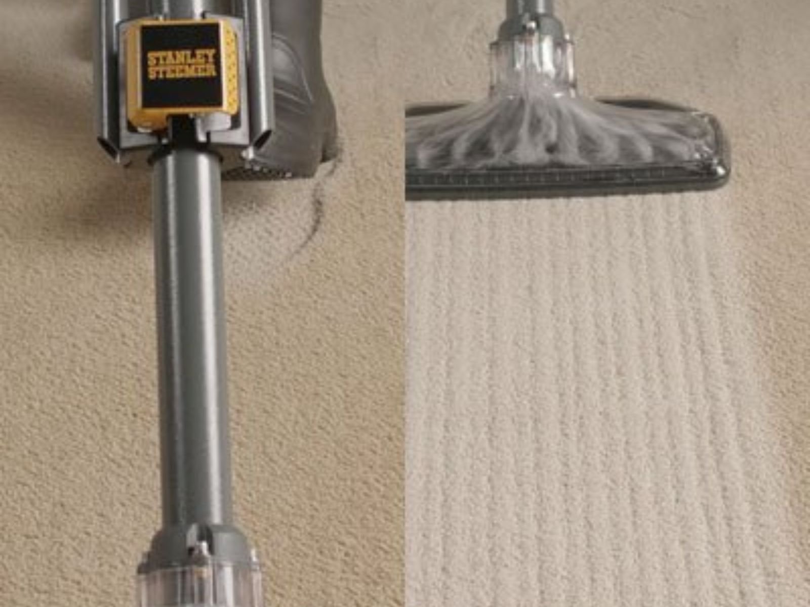 carpet cleaning twin cities